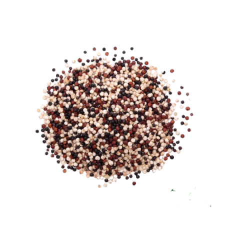 Quinoa agroecologica tricolor x 250 g - Terrasana