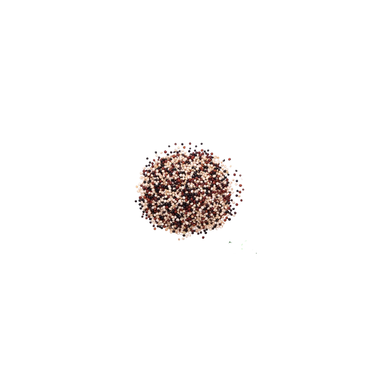 Quinoa agroecologica tricolor x 250 g - Terrasana