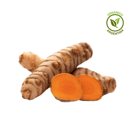 cúrcuma orgánica