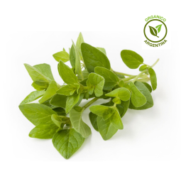 Orégano orgánico x atado