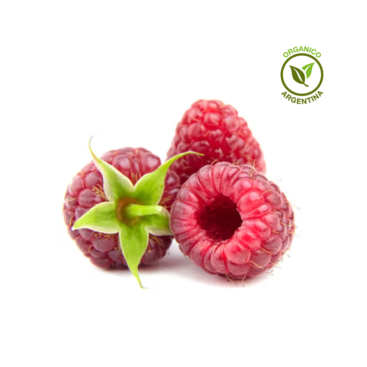 Frambuesas frescas orgánicas x 125 grs.