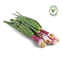 Cebolla de verdeo orgánica x atado (220 gr. aprox)