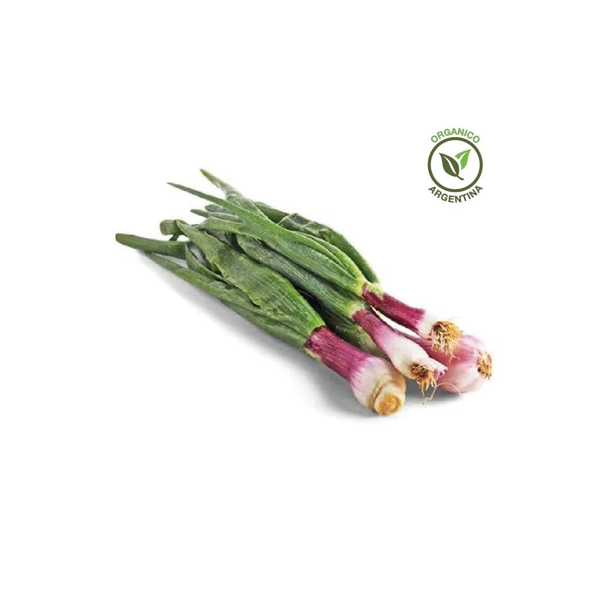 Cebolla de verdeo orgánica x atado (220 gr. aprox)