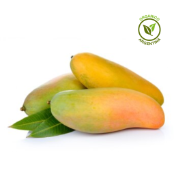 Manga Orgánica x unidad