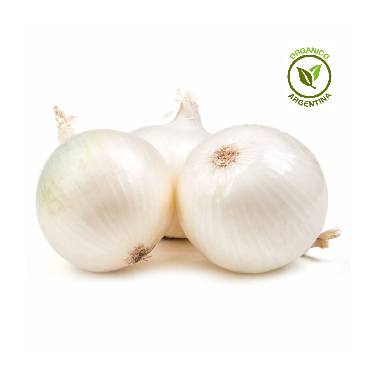 cebolla morada orgánica