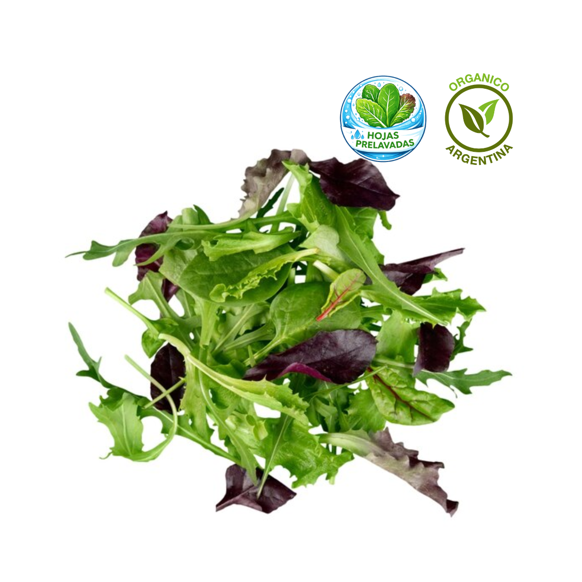 Mix hojas verdes orgánico lavadas y sanitizadas x 280 gr.