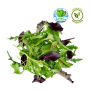 Mix hojas verdes orgánico lavadas y sanitizadas x 280 gr.