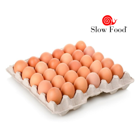 Maple de huevos de campo - Sembrando Conciencia