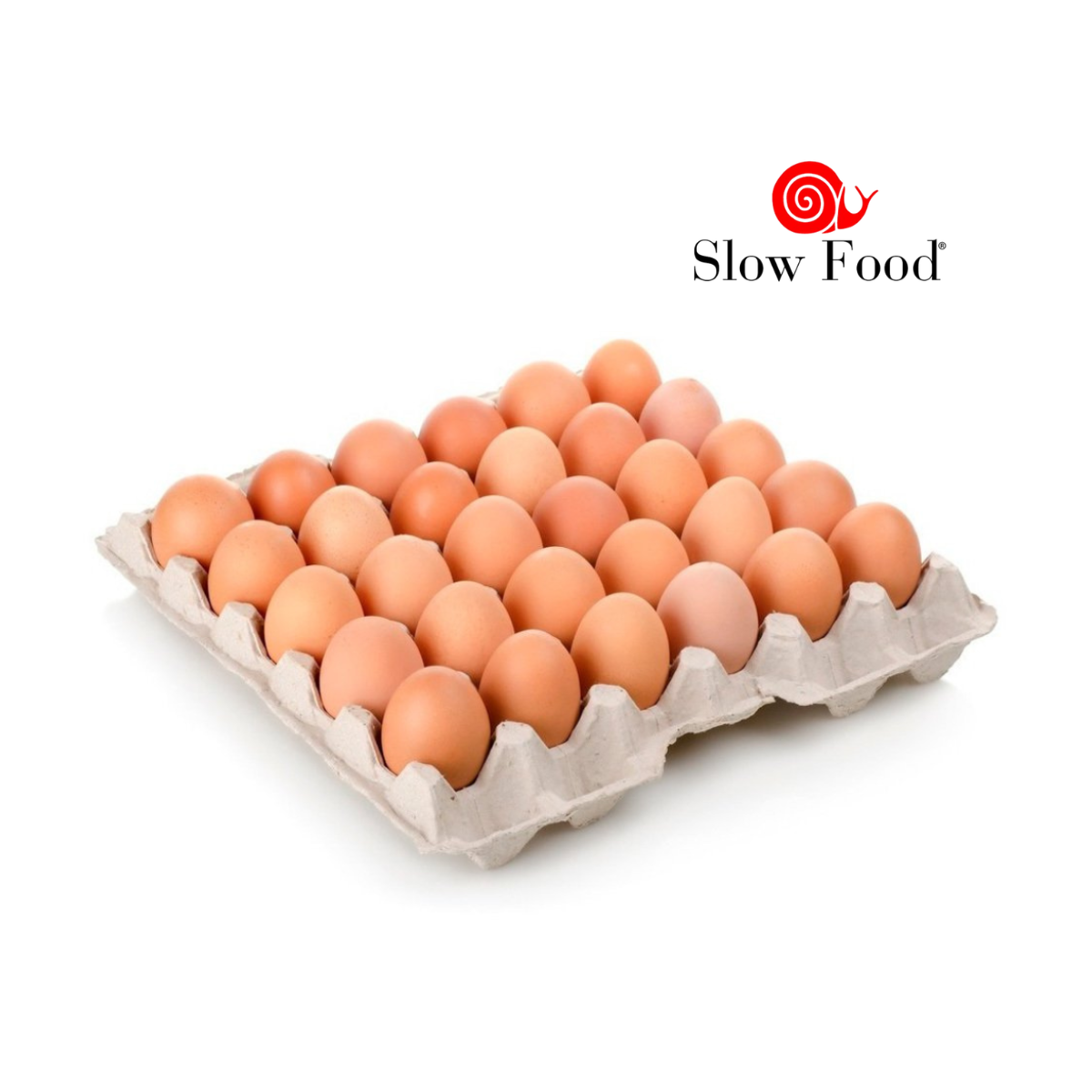 Maple de huevos de campo - Sembrando Conciencia