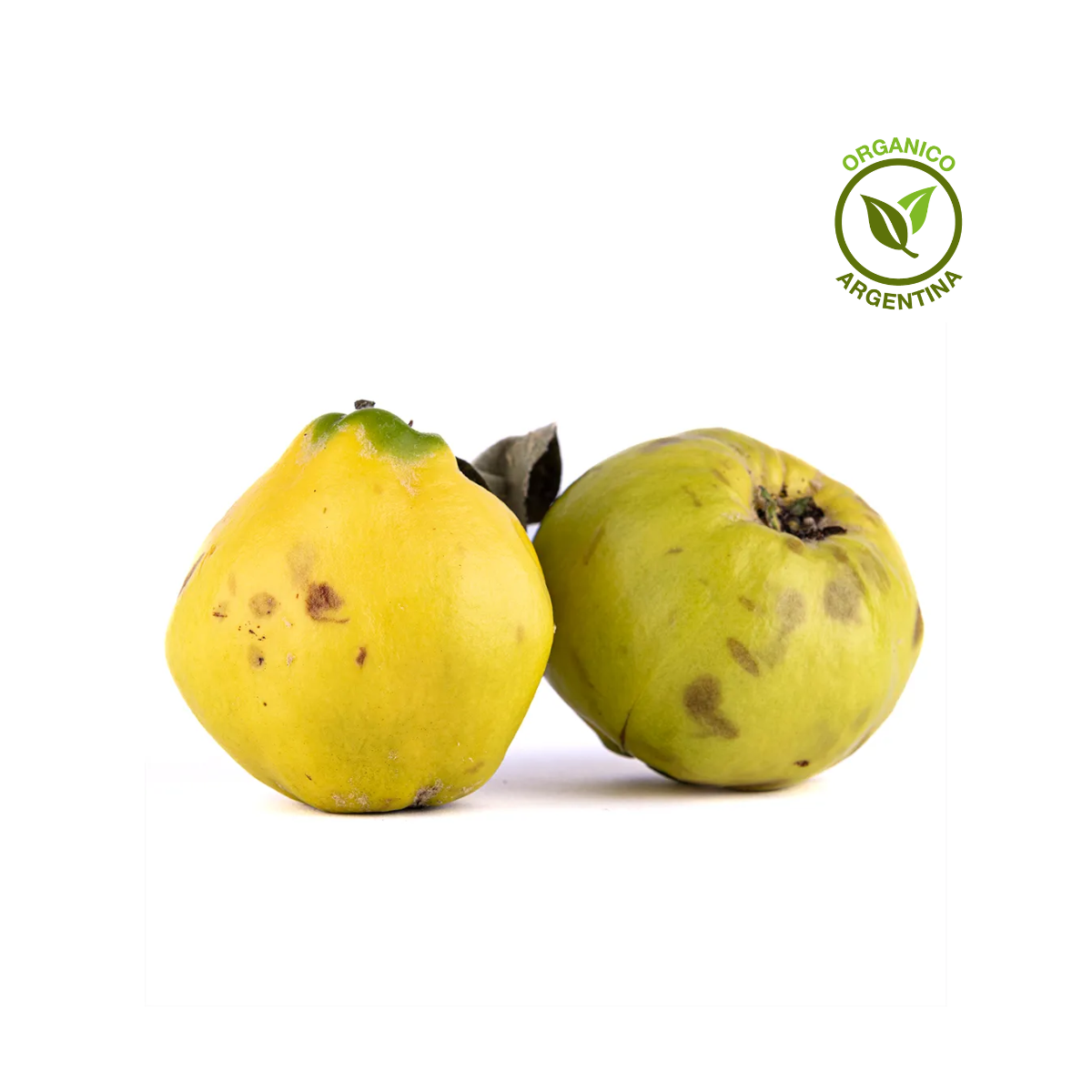 Membrillo orgánico x unidad.