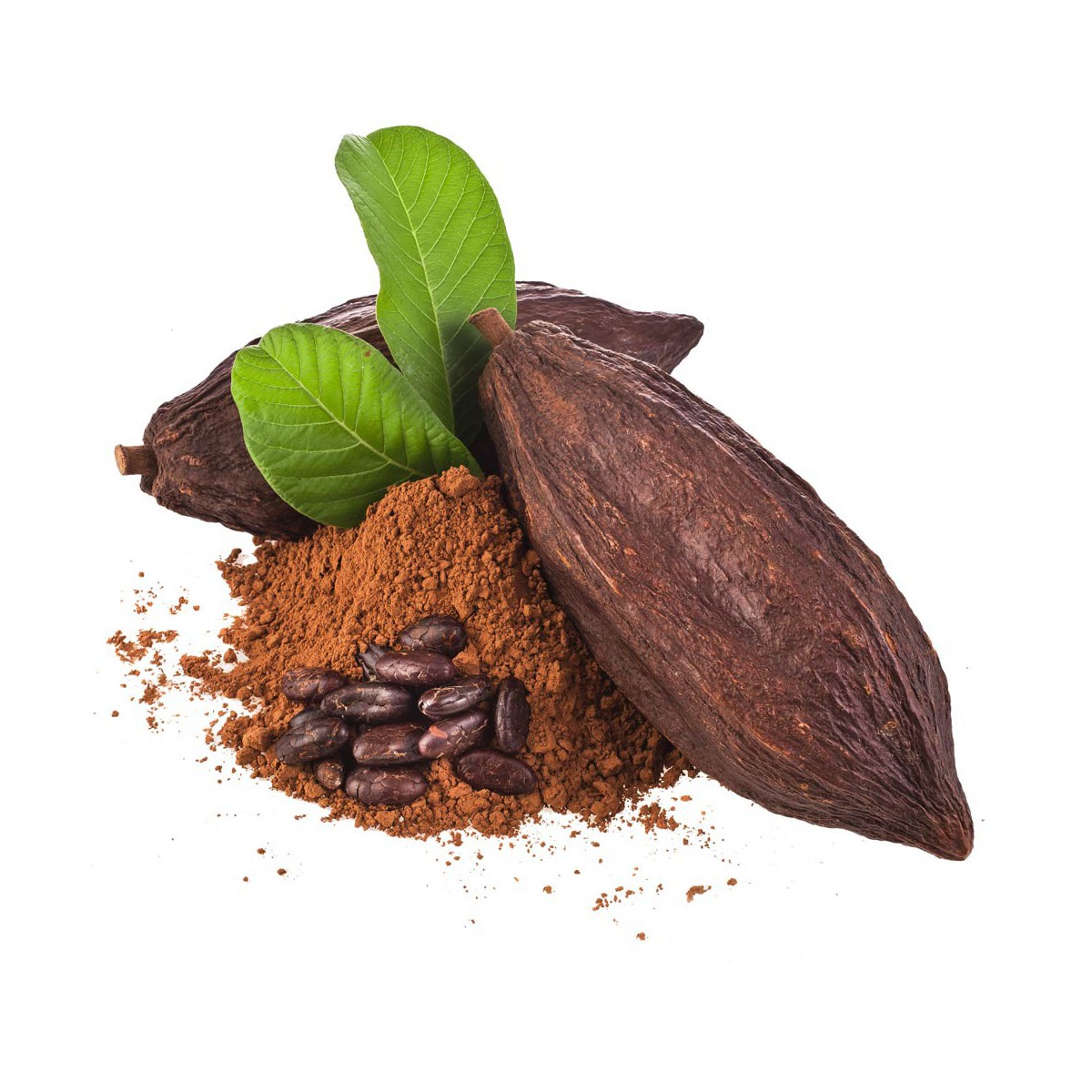 Cacao Amargo español x 500 grs.