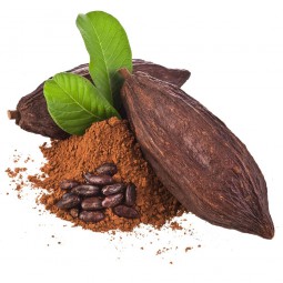 Cacao Amargo español x 500 grs.