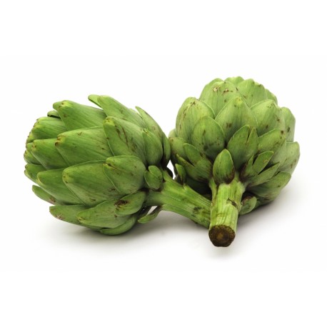 Alcaucil