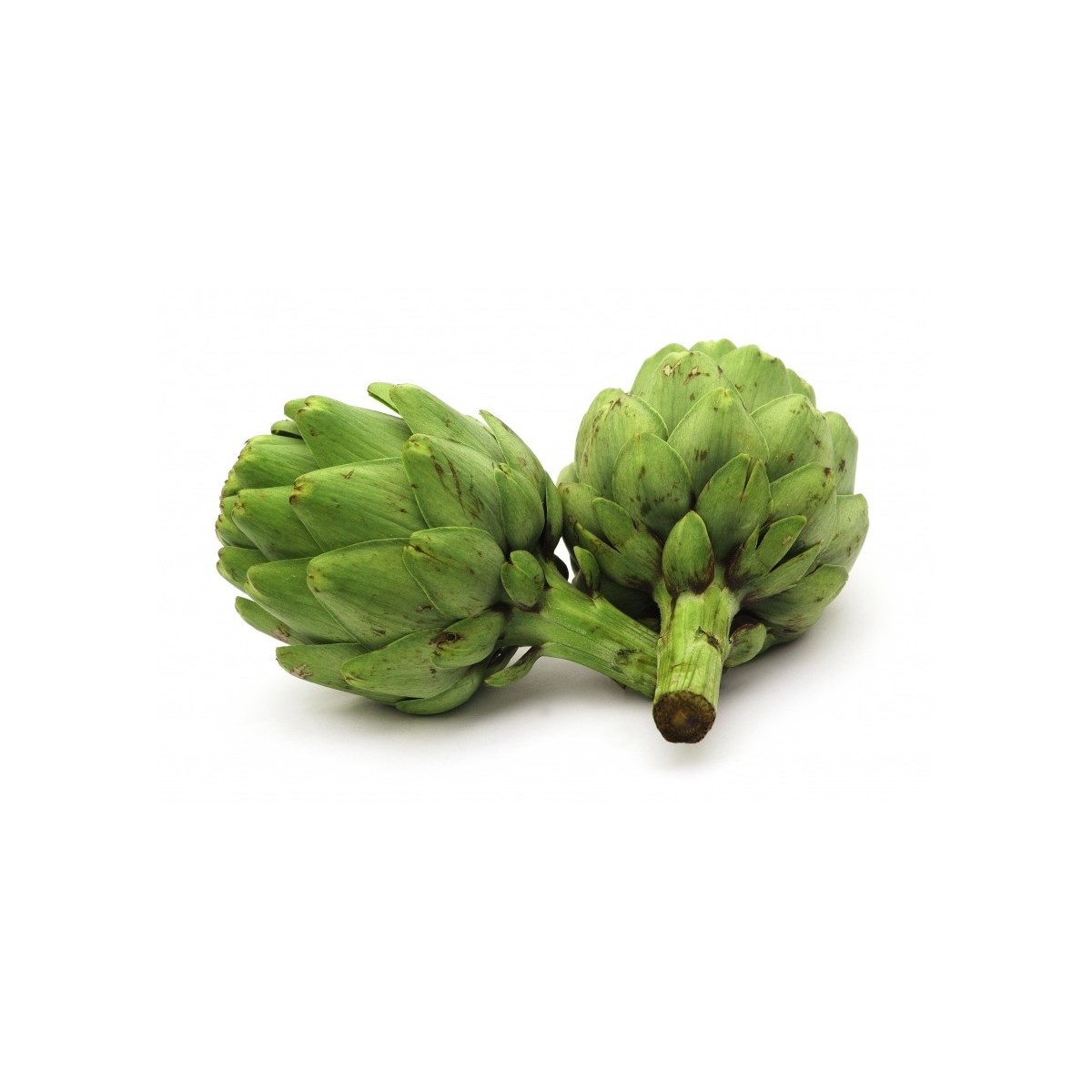 Alcaucil Alcaucil